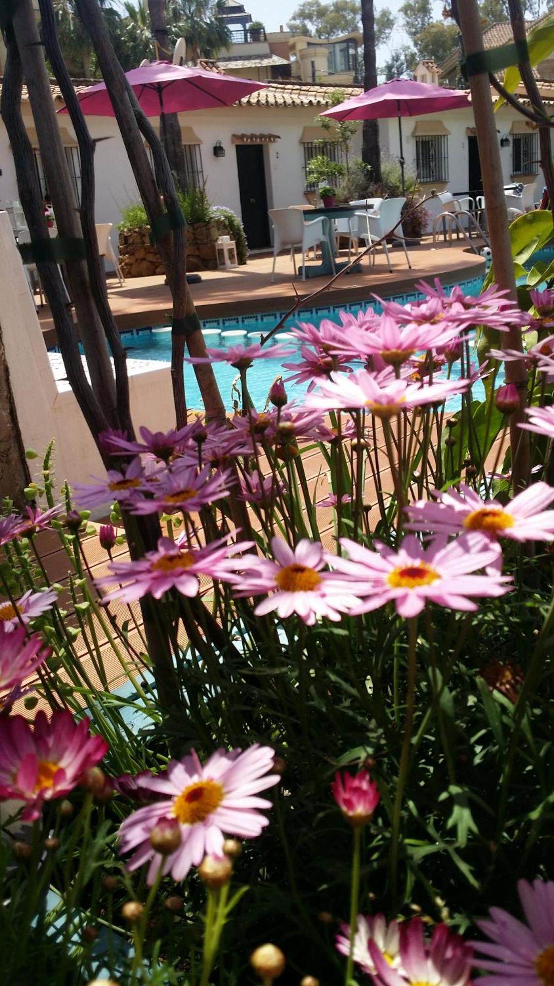 Banus Lodge Marbella Bagian luar foto