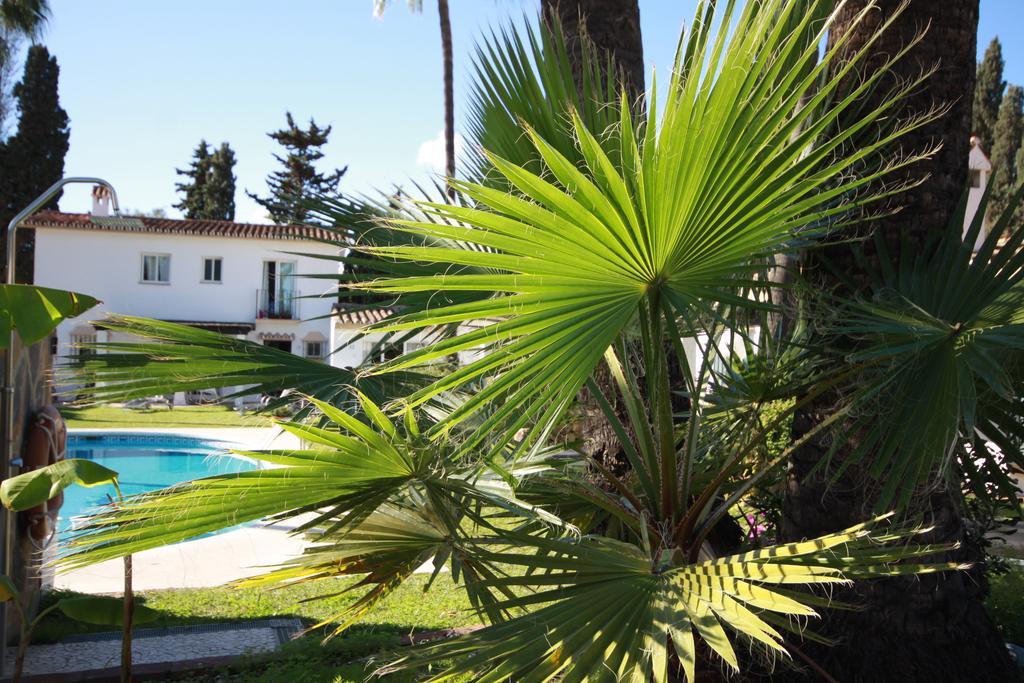 Banus Lodge Marbella Bagian luar foto