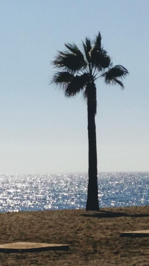 Banus Lodge Marbella Bagian luar foto